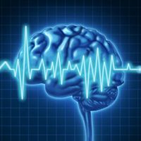 Illustration of a brain with a superimposed wavy line resembling a heartbeat, symbolizing disorders of interest, set against a grid background. Illustration of a brain with a superimposed wavy line resembling a heartbeat, symbolizing disorders of interest, set against a grid background.