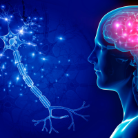 Untitled design - 2020-03-10T161708.596 best neurologist in Suffolk County NY